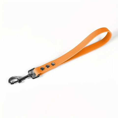 Laisse 35cm BIOTHANE