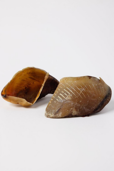 Sabot de bœuf XL