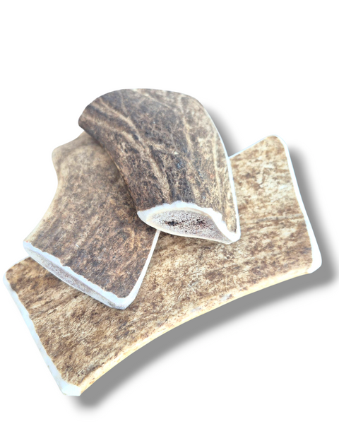 Bois de Daim