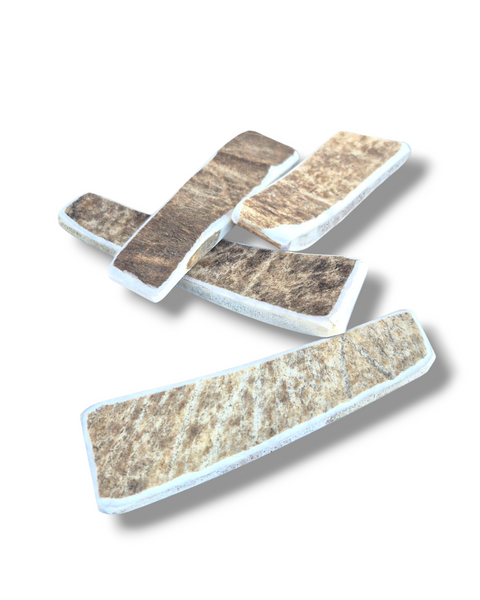Bois de Daim
