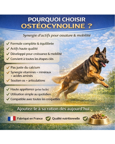 OSTEOCYNOLINE RENFORT&CROISSANCE