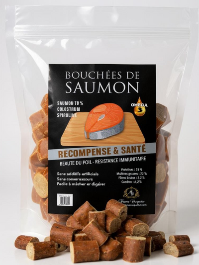 Bouchées de Saumon